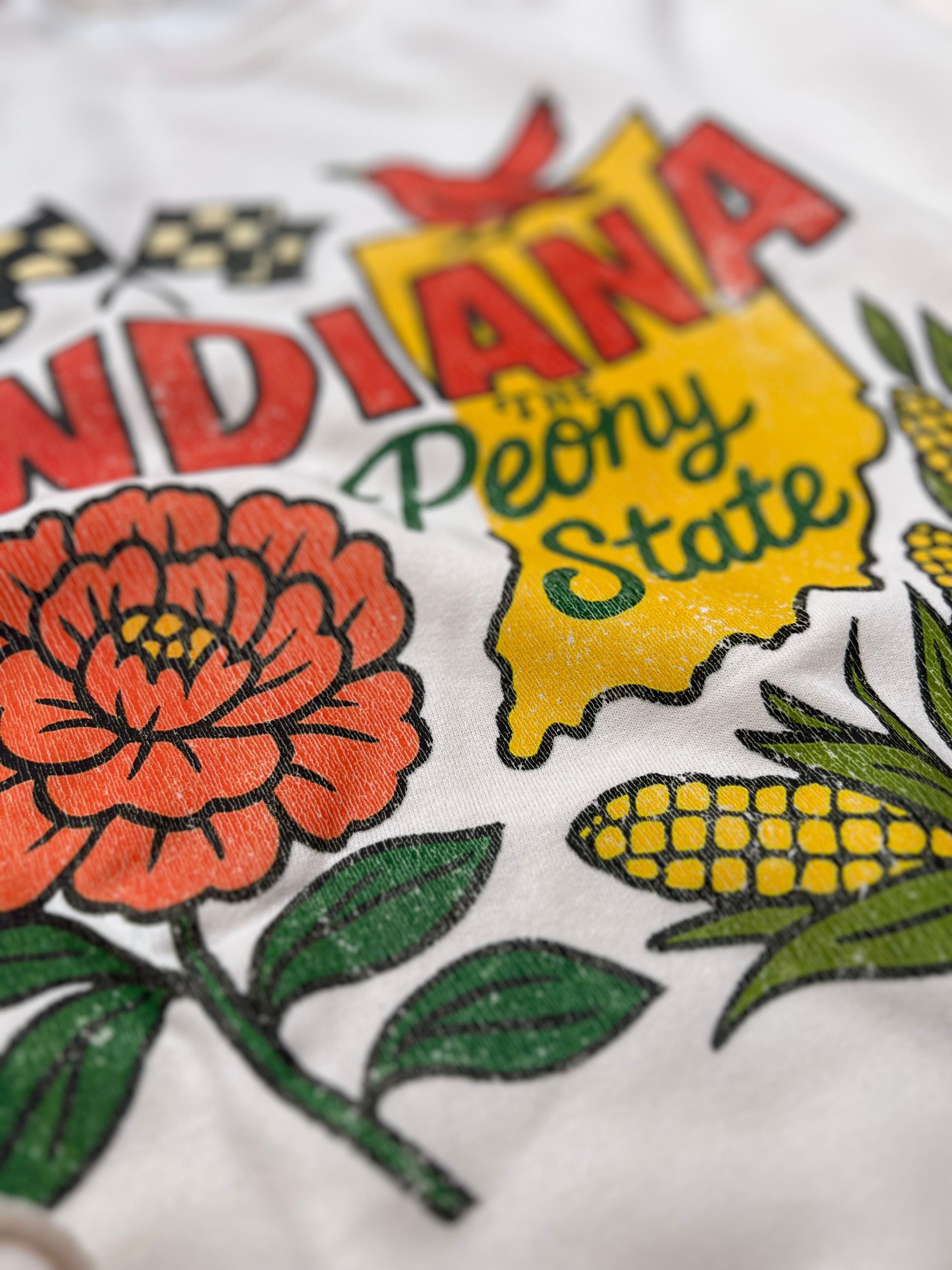 Openindiana Merchandise Retro Indiana Apparel (t-shirt or sweatshirt) – Wild Kard Vintage