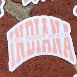3in Waterproof Stickers (you pick design)