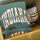 Indiana Vintage Green/Pink Apparel