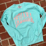 Mint & Pink Indiana Sweatshirt