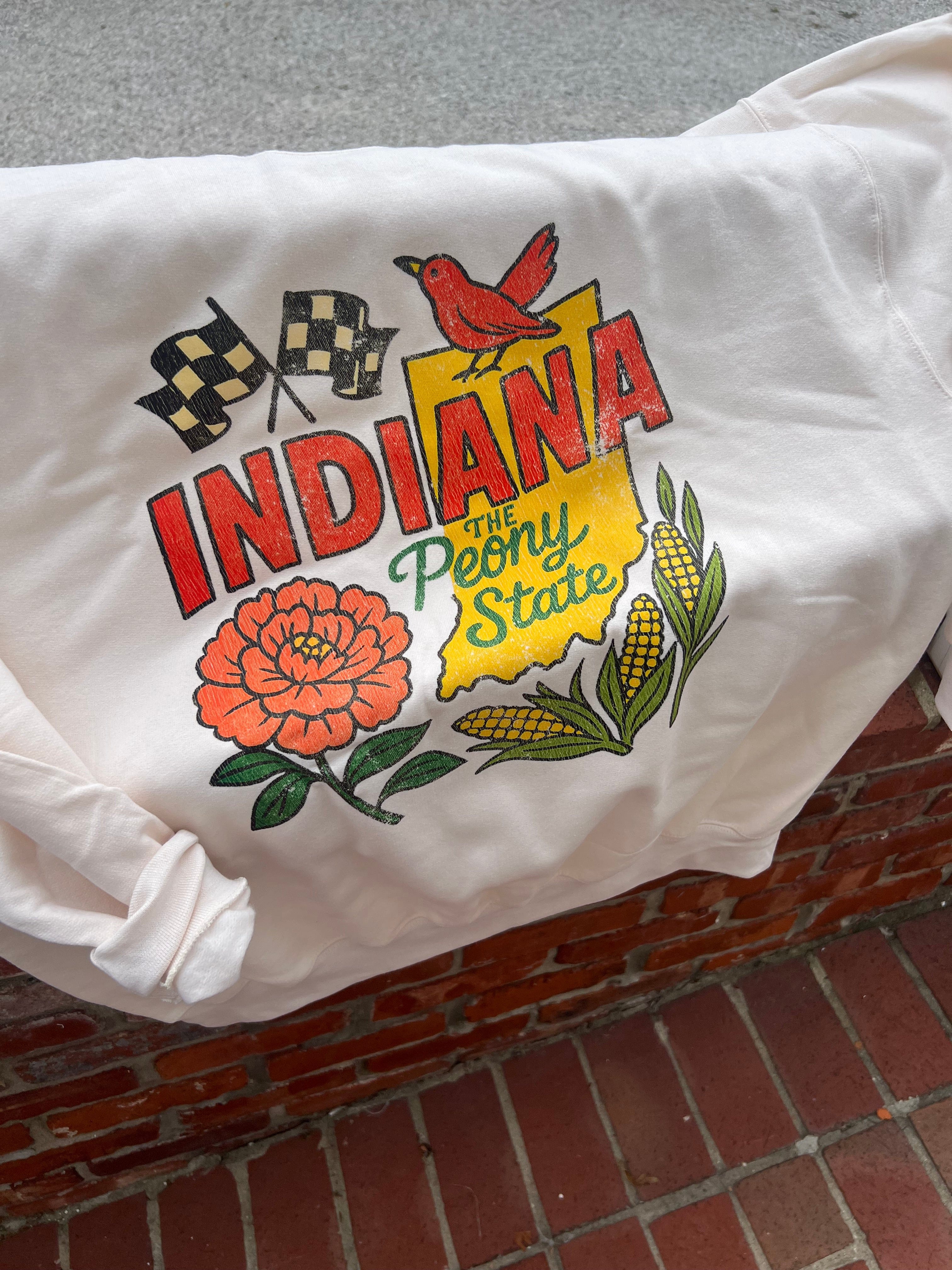 Openindiana Merchandise Retro Indiana Apparel (t-shirt or sweatshirt) – Wild Kard Vintage