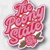 3in Waterproof Stickers (you pick design)