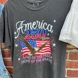 America 250 Years