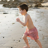 Gingham Swim Shorts